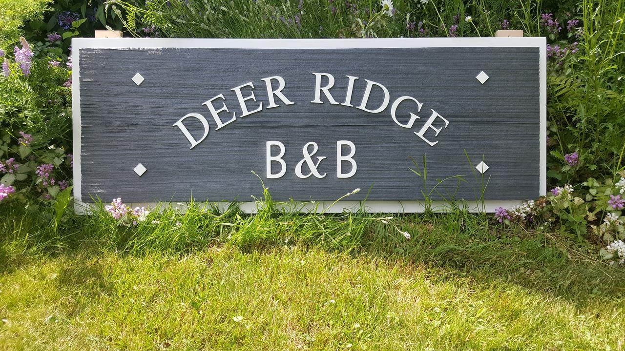 Deer Ridge B&B Golden Exterior photo